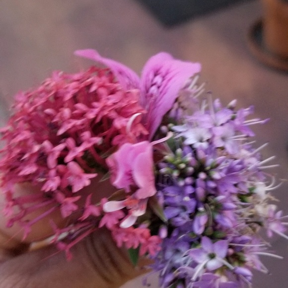 Meet your Posher, Isa - Picture 1 of 1